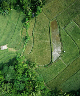 Курс по веб-дизайну